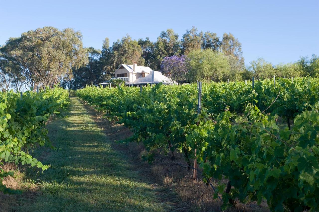 Hotel Spicers Vineyards Estate Pokolbin Zewnętrze zdjęcie